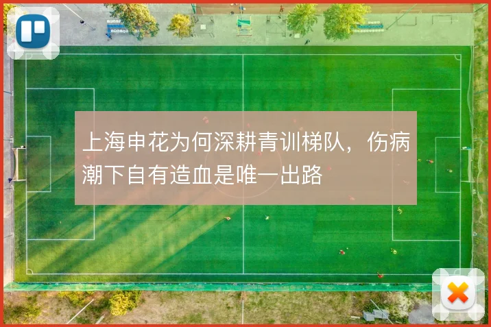 上海申花为何深耕青训梯队，伤病潮下自有造血是唯一出路