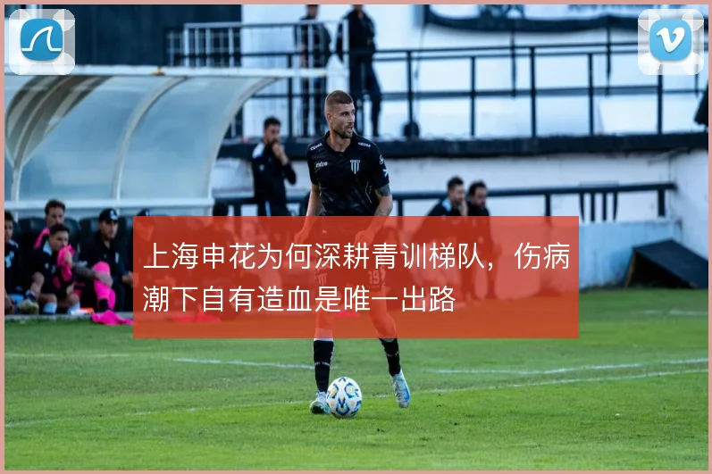 上海申花为何深耕青训梯队,伤病潮下自有造血是唯一出路